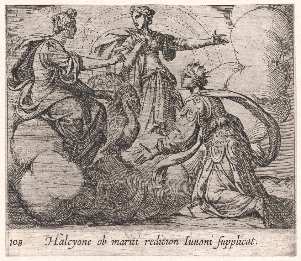 Plate 108- Alcyone Offering Prayers to Juno (Halcyone ob mariti reditum Iunoni supplicat), from Ovid's 'Metamorphoses' MET DP866543