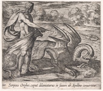Plate 100- Apollo Killing the Serpent Attacking Opheus's Head (Serpens Orphei caput dilaniaturus in saxum ab Apolline convertitur), from Ovid's 'Metamorphoses' MET DP866553