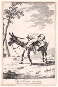 Plate 7- Bertoldino lying on a donkey Met DP889623