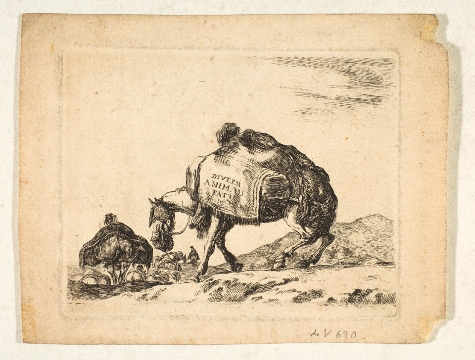 Plate 1- a pack horse, from 'Various animals' (Diversi animali) MET DP817875