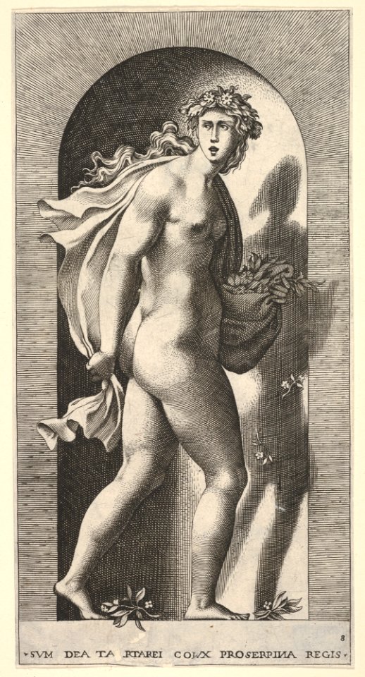 Plate 8- Prosperpina, standing in a niche, turning to the right while holding mantle in both hands and flowers in her right hand, from a series of mythological gods and goddesses MET DP830884