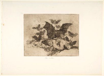 Plate 72 from 'The Disasters of War' (Los Desastres de la Guerra)- 'The Consequences.' (Las resultas.) MET DP817472