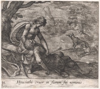 Plate 95- The Death of Hyacinthus (Hyacinthi cruor in florem sui nominis), from Ovid's 'Metamorphoses' MET DP866548