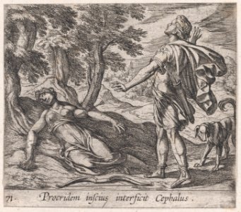 Plate 71- Procris Killed by Cephalus's Javelin (Procridem inscius interficit Cephalus), from Ovid's 'Metamorphoses' MET DP866518