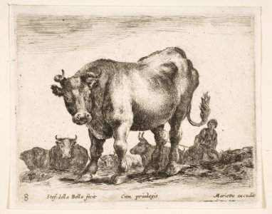 Plate 8- cow, from 'Various animals' (Diversi animali) MET DP817744