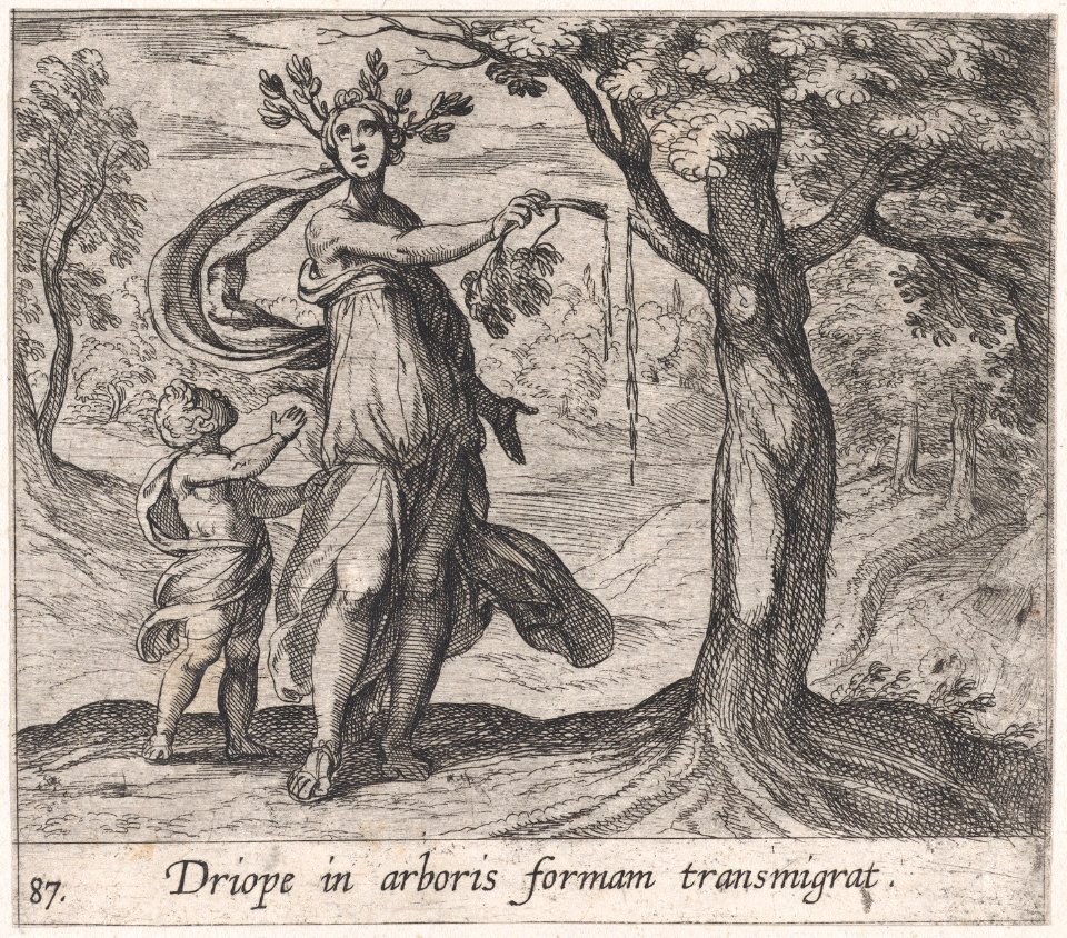 Plate 87- Dryope Changed into a Lotus Tree (Driope in arboris formam transmigrat), from Ovid's 'Metamorphoses' MET DP866528