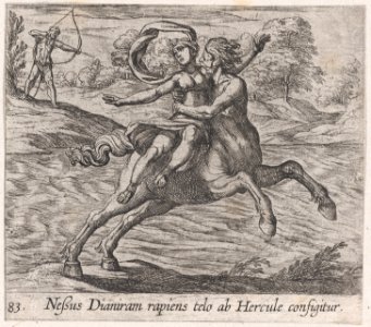 Plate 83- Nessus Attempting to Take Dejanera from Hercules (Neßus Dianiram rapiens telo ab Hercule configitur), from Ovid's 'Metamorphoses' MET DP866524