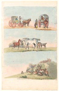 Outlines of Figures and Animals MET DP872098