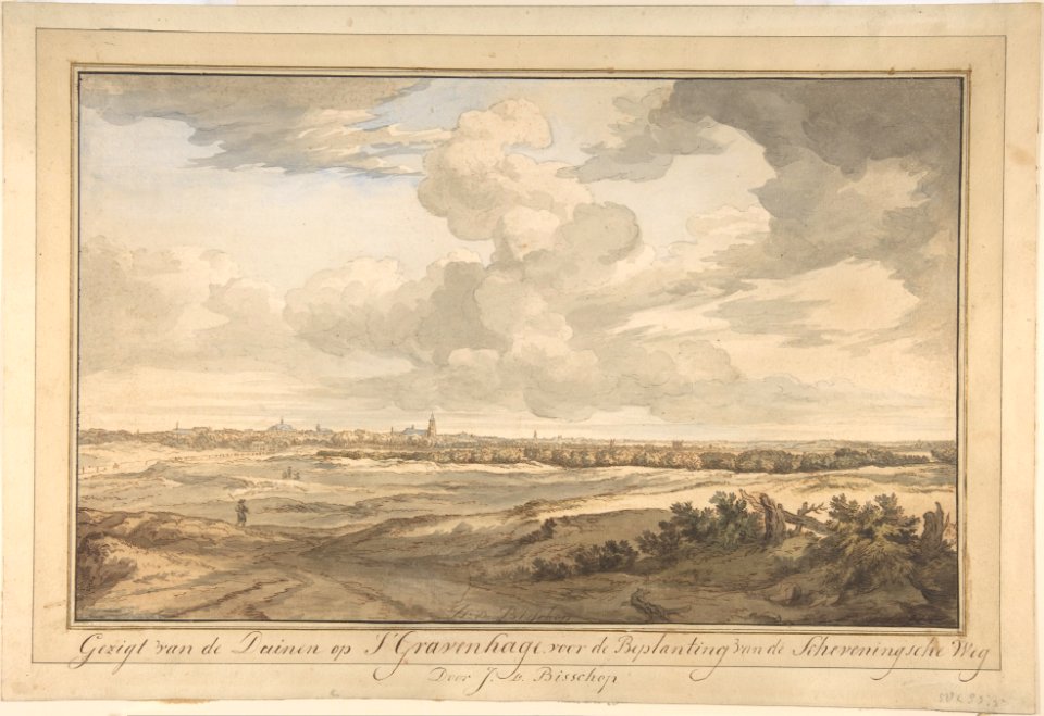 Panoramic Landscapes MET DP800913