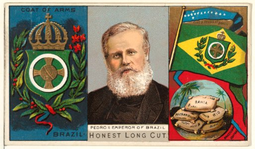 Pedro II, Emperor of Brazil, from the Rulers, Flags, and Coats of Arms series (N126-1) issued by W. Duke, Sons & Co. MET DPB873764