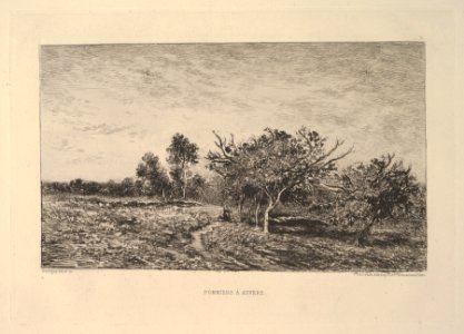 Pommiers à Auvers MET DP830223