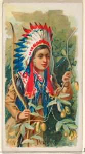 Papaw, from the Fruits series (N12) for Allen & Ginter Cigarettes Brands MET DP834636