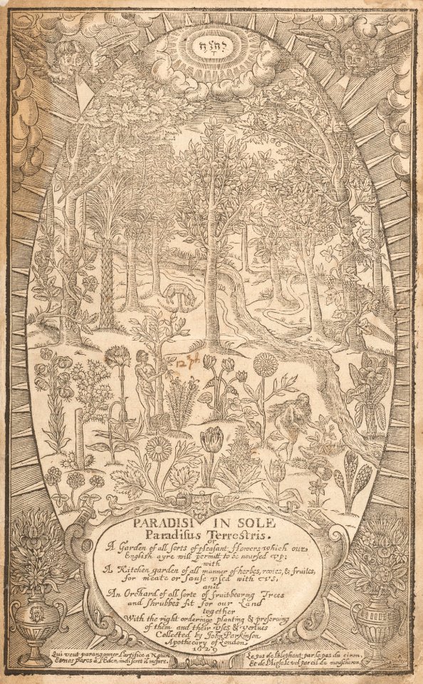 Paradisi in Sole. Paradisus Terrestris MET DP161837