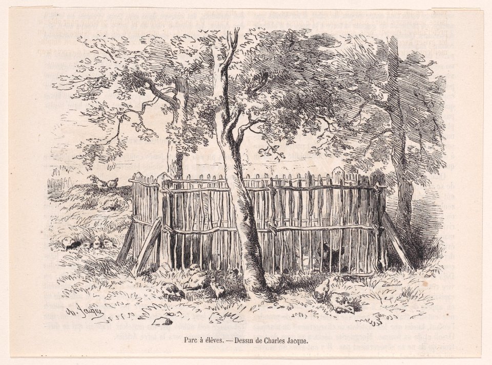 Parc à élèves; from Magasin Pittoresque Met DP888855