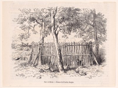 Parc à élèves; from Magasin Pittoresque Met DP888855