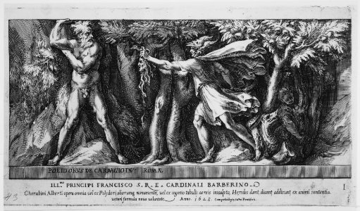 Perseus in the Garden of the Hesperides MET MM43241