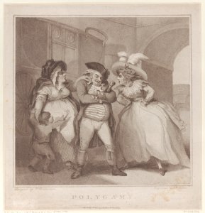 Polygamy Met DP884371