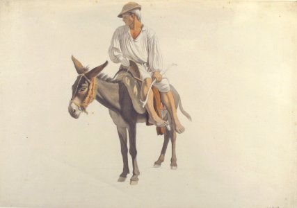 Peasant on a Donkey MET 66.93.1