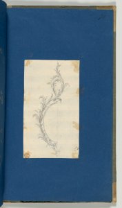 Pier Glass Frame, in Chippendale Drawings, Vol. I MET DP-14278-056
