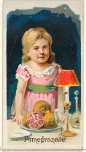 Pomegranate, from the Fruits series (N12) for Allen & Ginter Cigarettes Brands MET DP834643