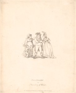 Polygamy, or Plurality of Wives MET DP879608