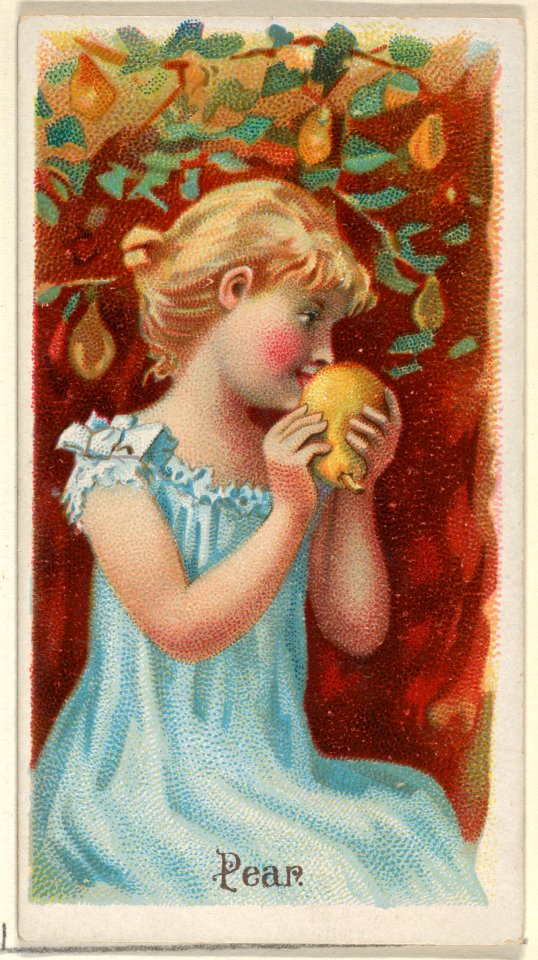 Pear, from the Fruits series (N12) for Allen & Ginter Cigarettes Brands MET DP834638