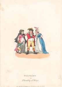 Polygamy, or Plurality of Wives MET DP879609