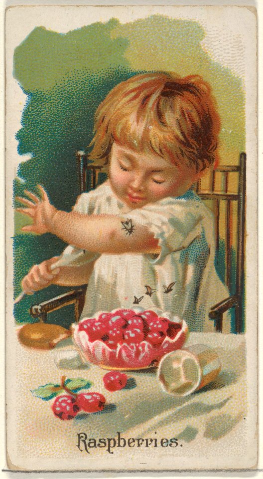 Raspberries, from the Fruits series (N12) for Allen & Ginter Cigarettes Brands MET DP834645