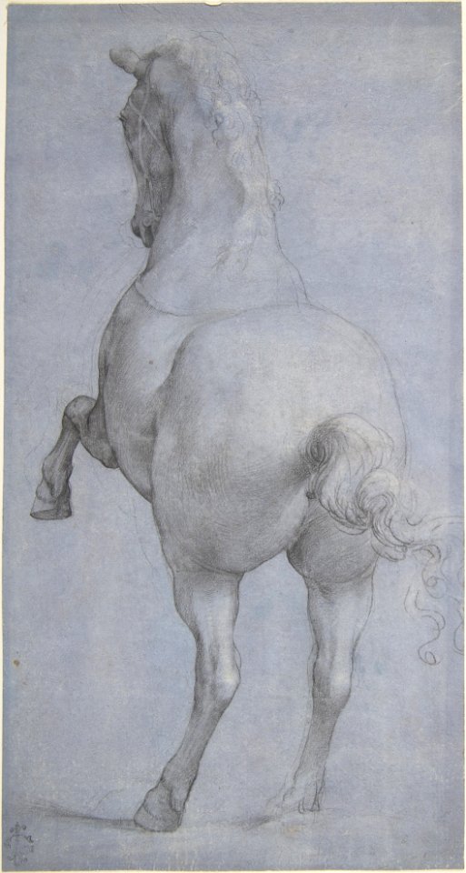 Rearing Horse in Rear Three-Quarter View MET DP802020