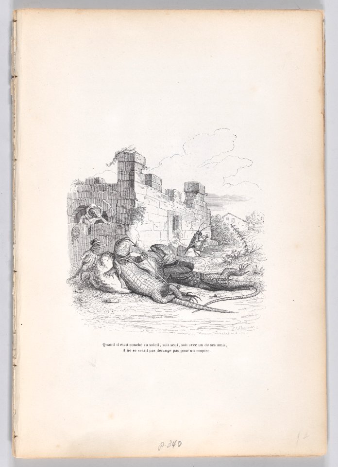 Private and Public Life of Animals Met DP887724