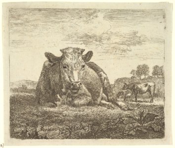 Recumbent Cow, from Different Animals MET DP828090