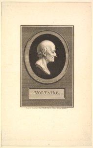 Portrait of Voltaire MET DP829013