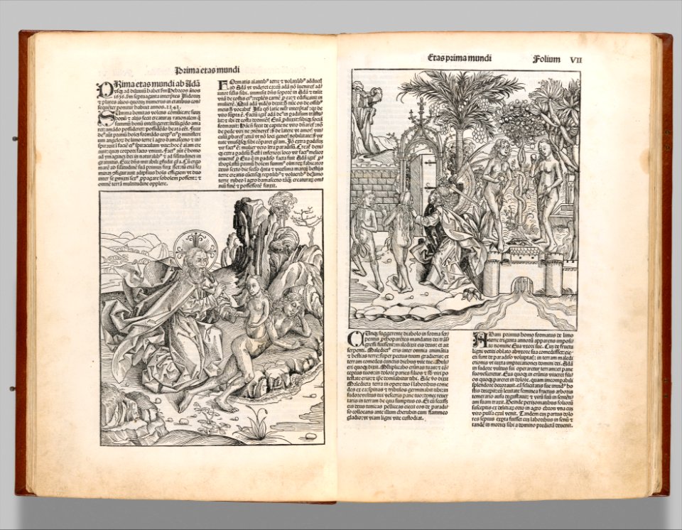 Registrum huius Operis libri cronicarum cum figuris et ymagibus ab inicio mundi MET DP358425