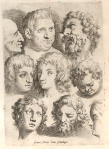 Regole per Imparar a Disegnar i corpi humani Met DP885373