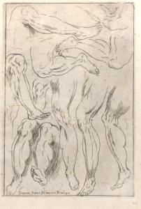 Regole per Imparar a Disegnar i corpi humani Met DP885379