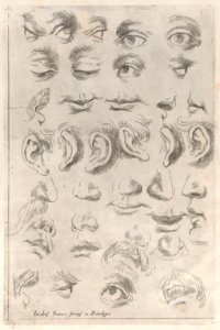 Regole per Imparar a Disegnar i corpi humani Met DP885372