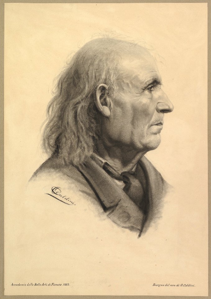 Portrait Head of a Man MET DP821236