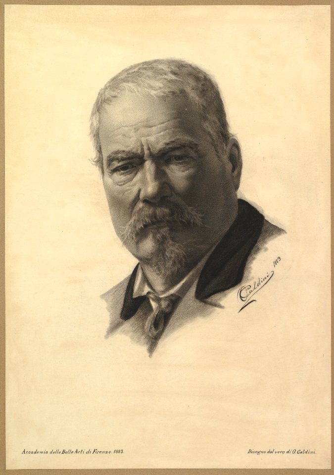 Portrait Head of a Man MET DP821238