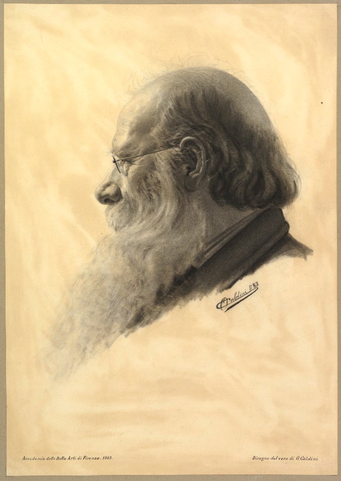 Portrait Head of a Man MET DP821237