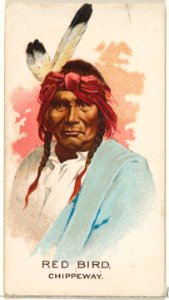 Red Bird, Chippeway, from the American Indian Chiefs series (N2) for Allen & Ginter Cigarettes Brands MET DP828035