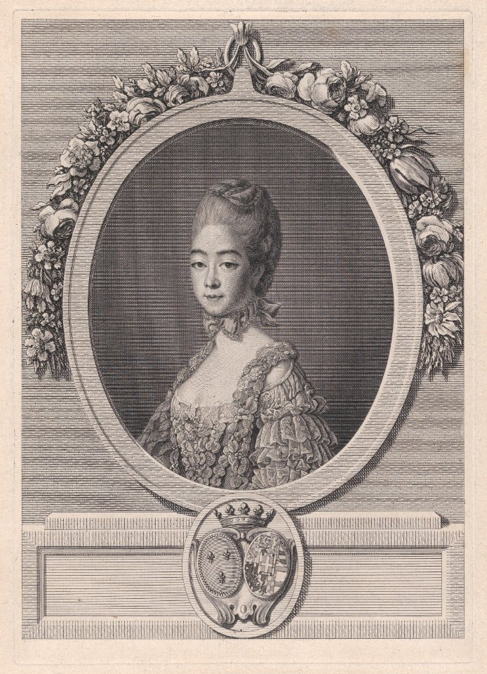 Portrait of Marie Joséphine of Savoy, Countess of Provence MET DP874656