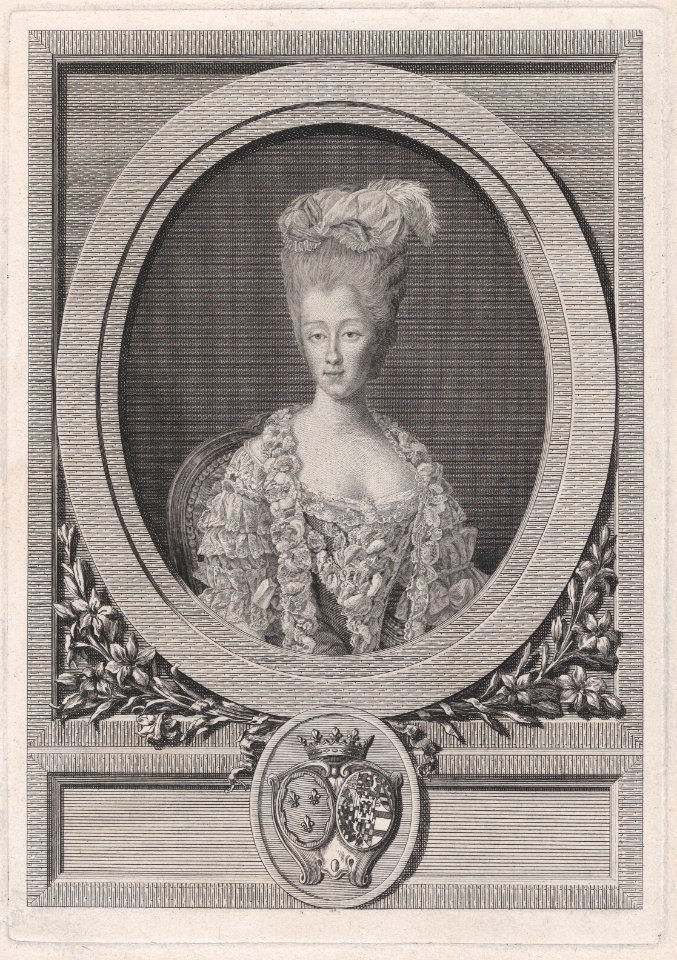 Portrait of Maria Theresa of Savoy, The Countess d'Artois MET DP874655