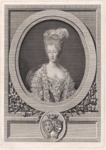 Portrait of Maria Theresa of Savoy, The Countess d'Artois MET DP874655