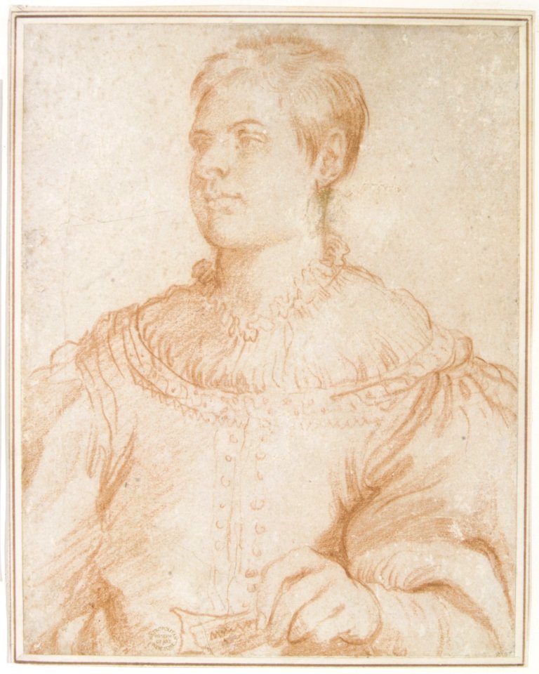 Portrait MET DR459