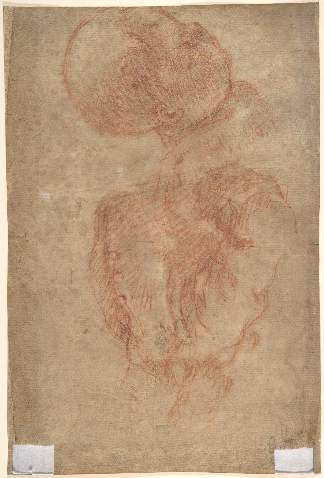 Portrait of a Man (recto); A Male Torso in Jacket and the Head of a Child (verso) MET DP809943