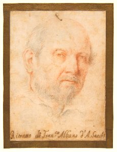 Portrait of a Man- Francesco Albani ? MET DP811544