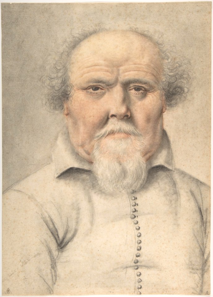 Portrait of a Man MET DP808465