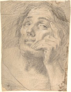 Portrait of a Young Man Leaning on his Hand MET DP803419