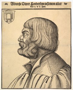 Portrait of Albrecht Dürer MET DP822271