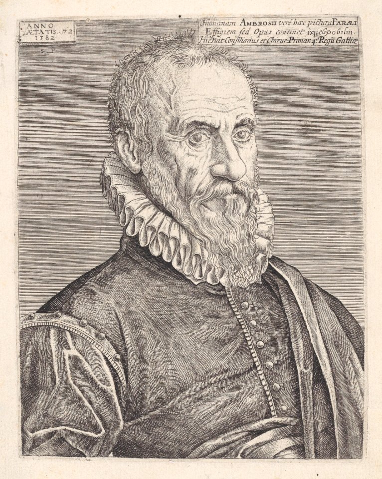 Portrait of Ambroise Paré, the King's surgeon Met DP887880